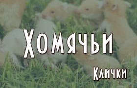 Хомячьи клички