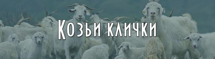 Клички для коз козлов