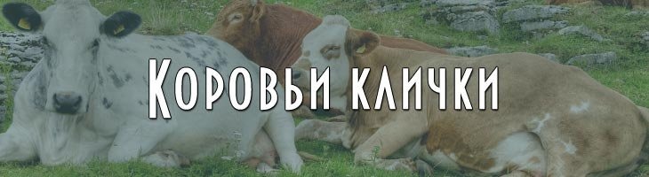 Клички для тёлочек бычков