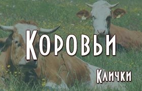 Коровьи клички