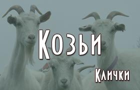 Козьи клички