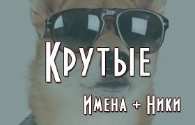 Крутые имена ники для девушек