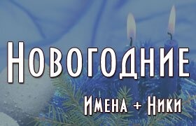 Новогодние зимние ники девушукам