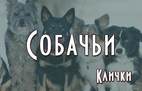 Собачьи клички