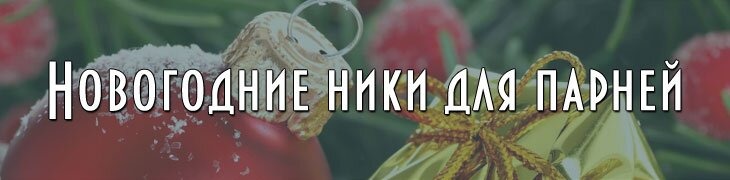 Зимние новогодние имена ники для парней