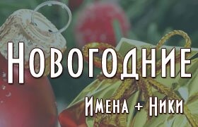 Зимние новогодние ники для парней